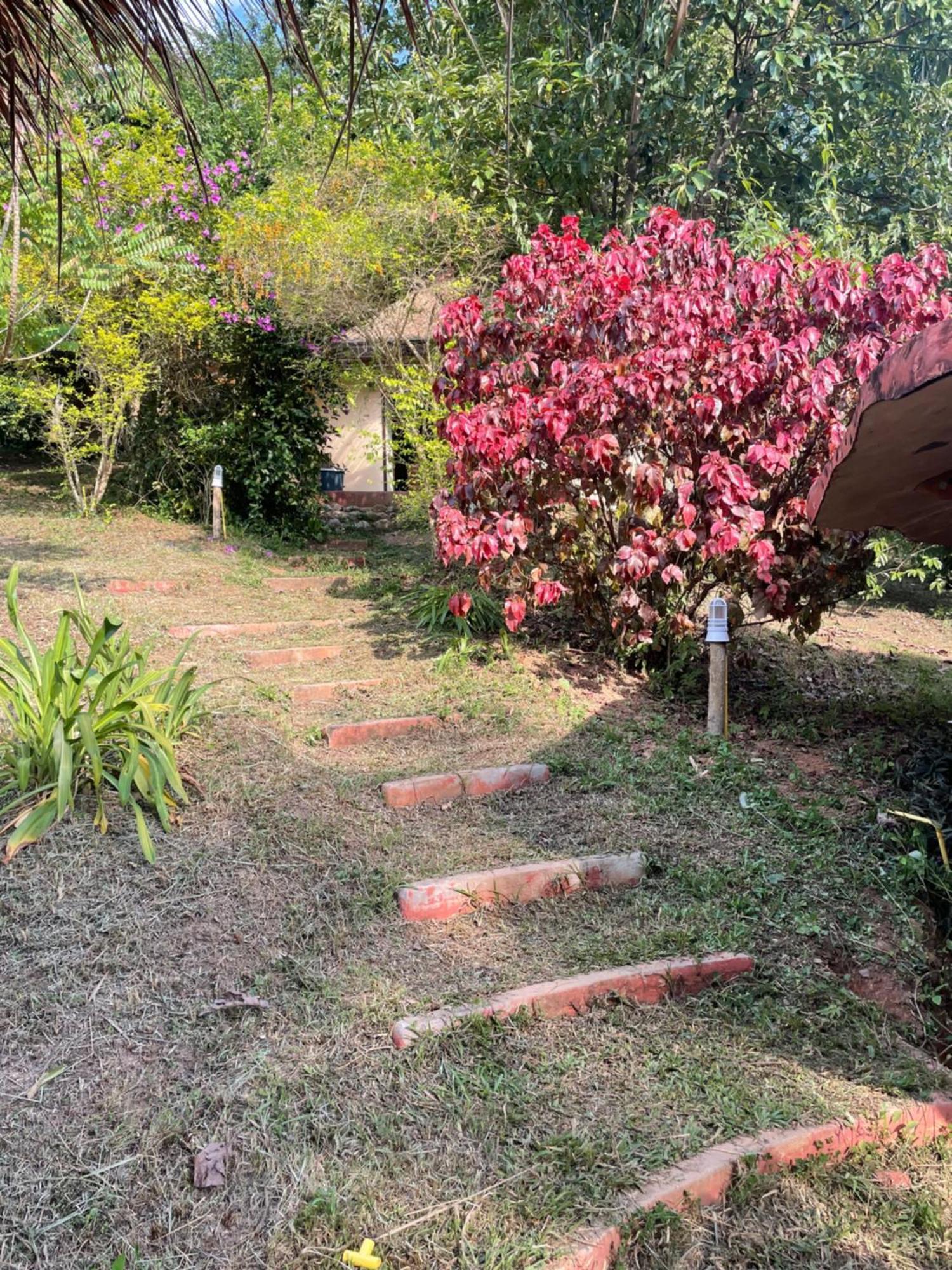 Chiang Dao Roundhouses Ngoại thất bức ảnh