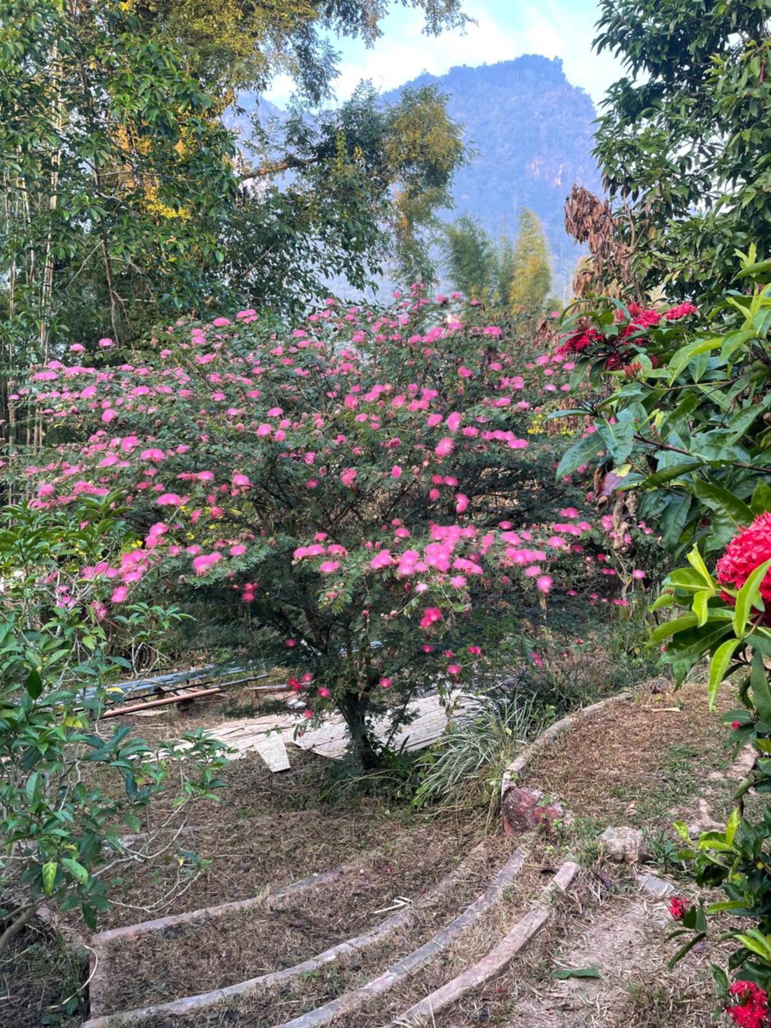 Chiang Dao Roundhouses Ngoại thất bức ảnh