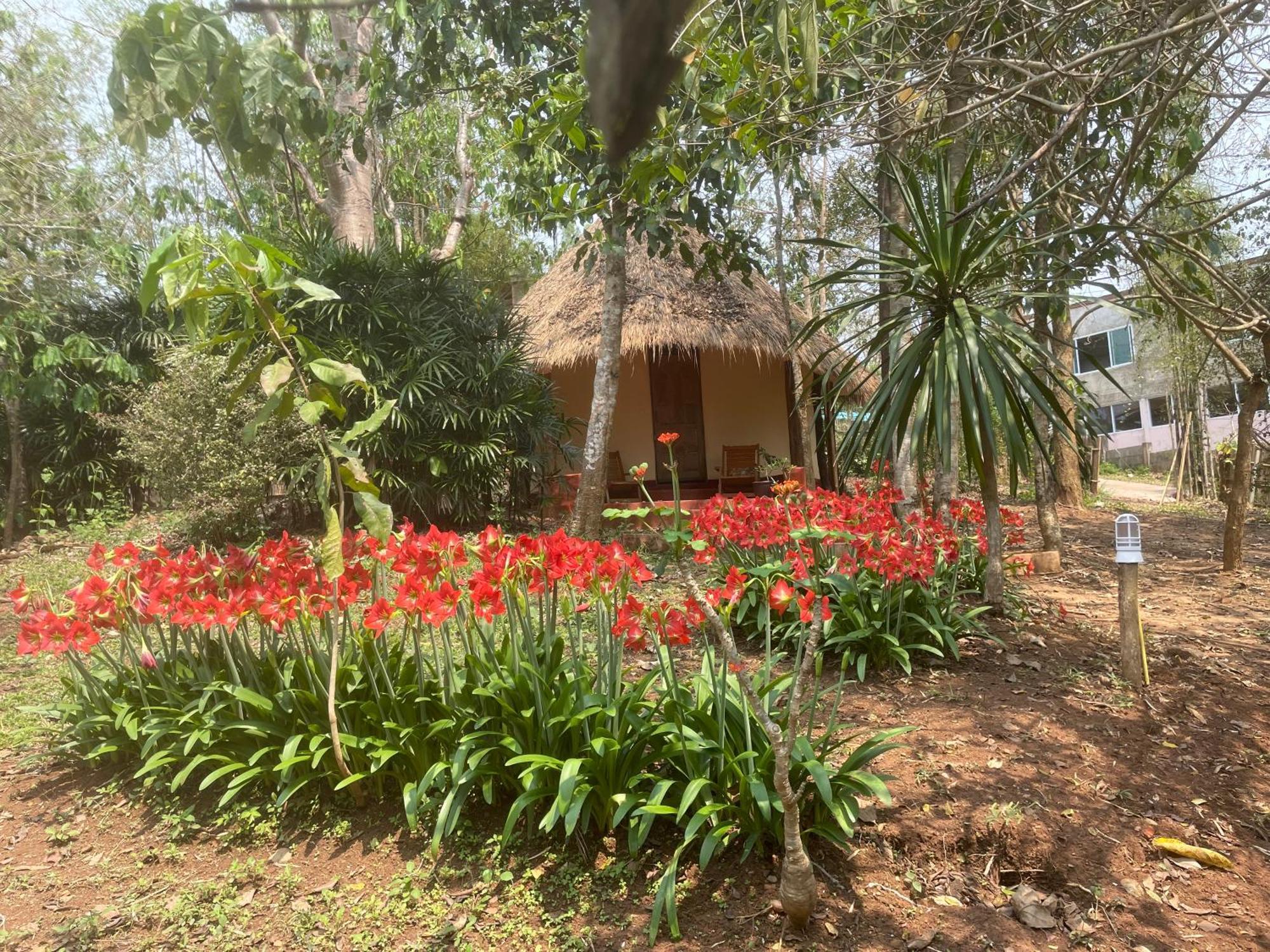 Chiang Dao Roundhouses Ngoại thất bức ảnh