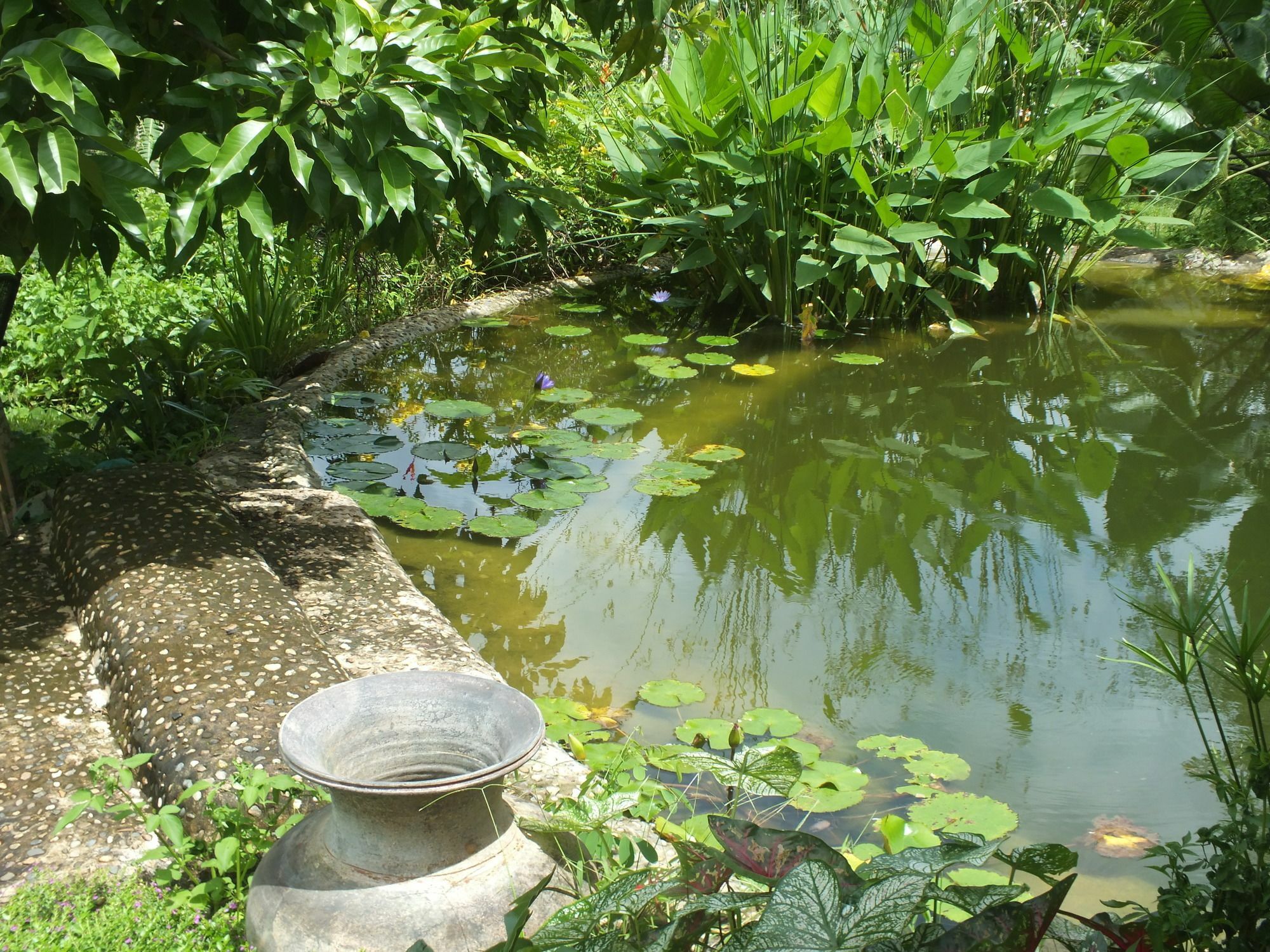 Chiang Dao Roundhouses Ngoại thất bức ảnh